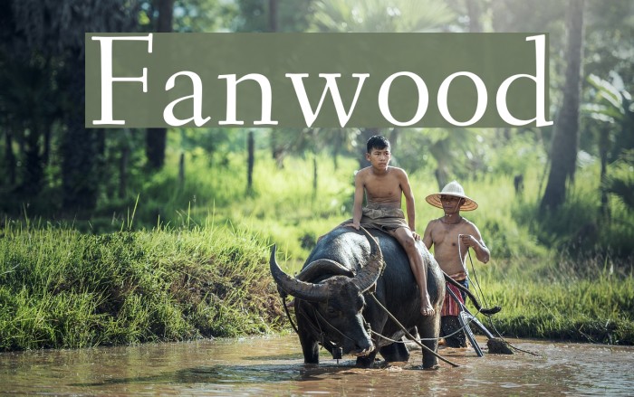 Fanwood Font examples