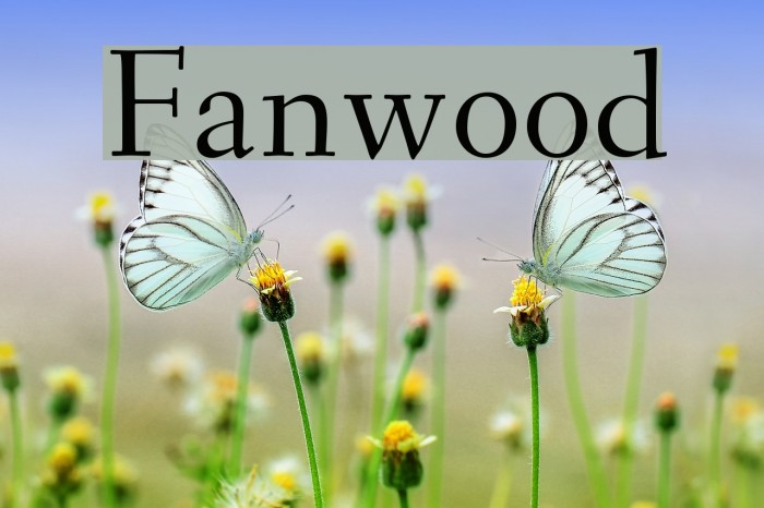 Fanwood Font examples