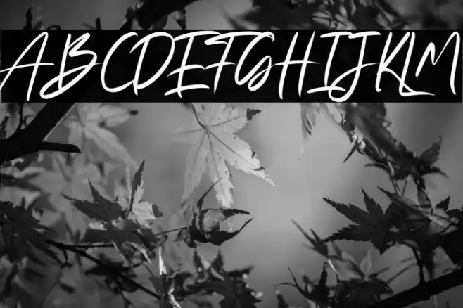 Fany Alleya Font examples