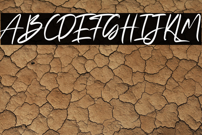 Fany Alleya Example 3