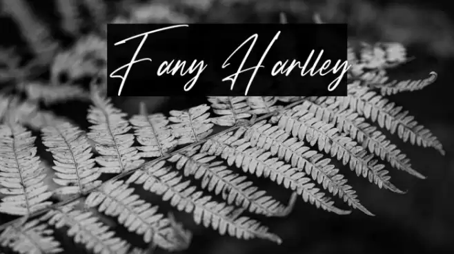 Fany Harlley Font examples
