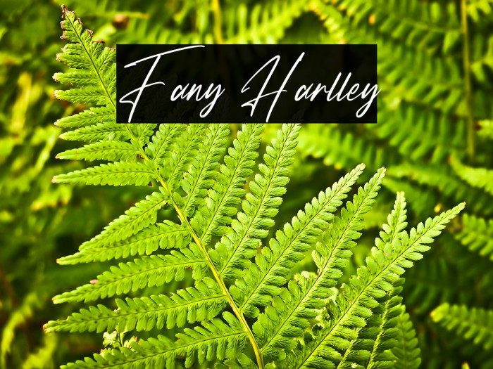 Fany Harlley Example 2