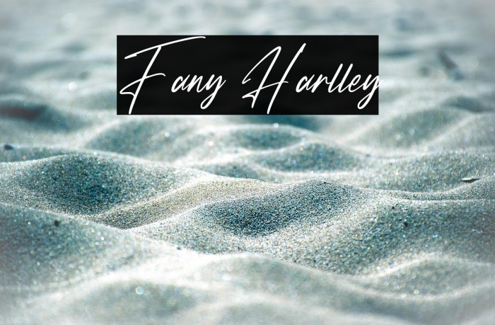Fany Harlley Example 3