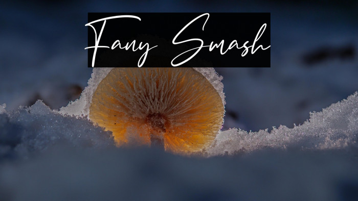 Fany Smash Example 1