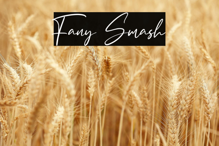 Fany Smash Example 2