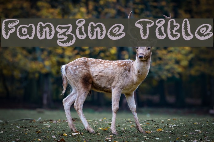 Fanzine Title Font examples