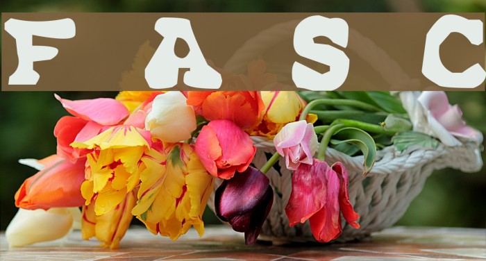 Far Away, So Close Example 1