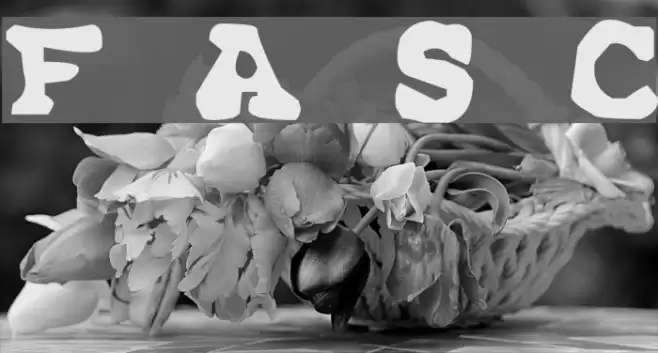 Far Away, So Close Font examples