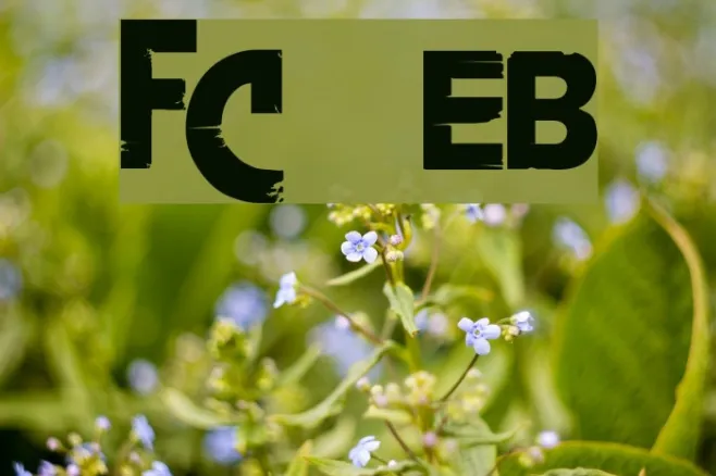 FarCry  ExtraBold Example 2