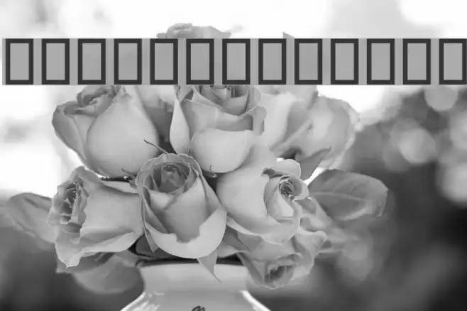 Faraah Light Font examples