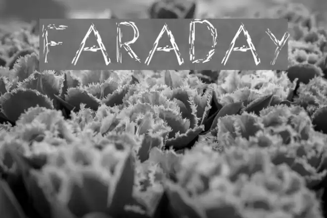 Faraday Polices examples