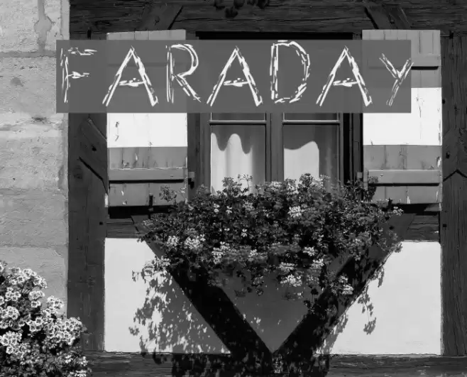 Faraday Polices examples