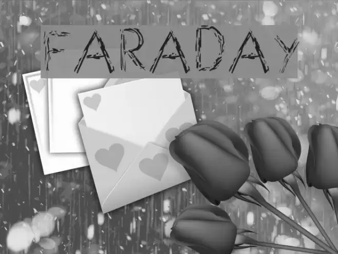 Faraday Polices examples