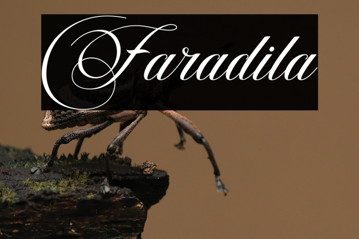 Faradila Example 1