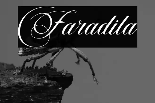 Faradila Font examples