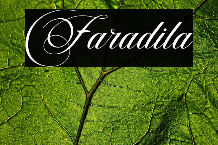 Faradila Example 2