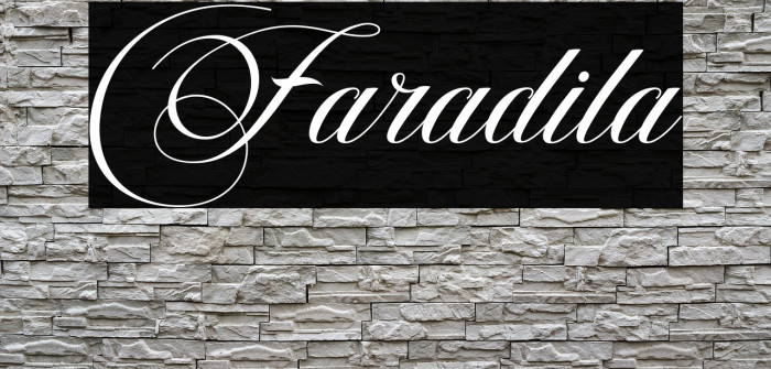Faradila Example 3