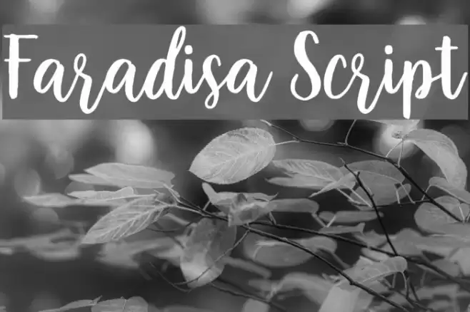 Faradisa Script Font examples