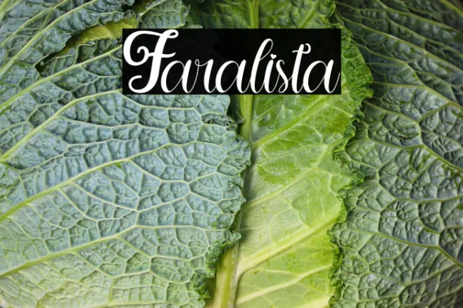 Faralista Example 1