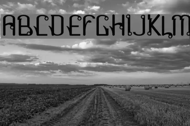 Farang Polices examples