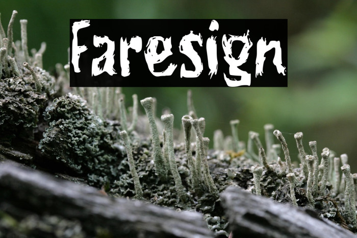 Faresign Example 3
