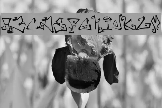 Farewell Eternity Font examples