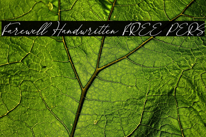 Farewell Handwritten [FREE PERS Example 1