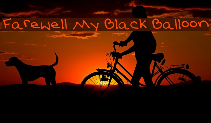 Farewell My Black Balloon Example 1