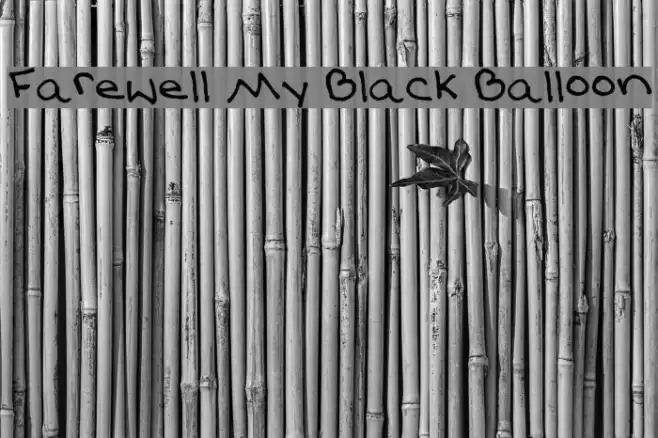 Farewell My Black Balloon Font examples