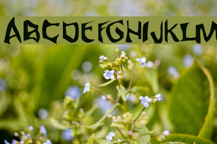 Fargas Font examples