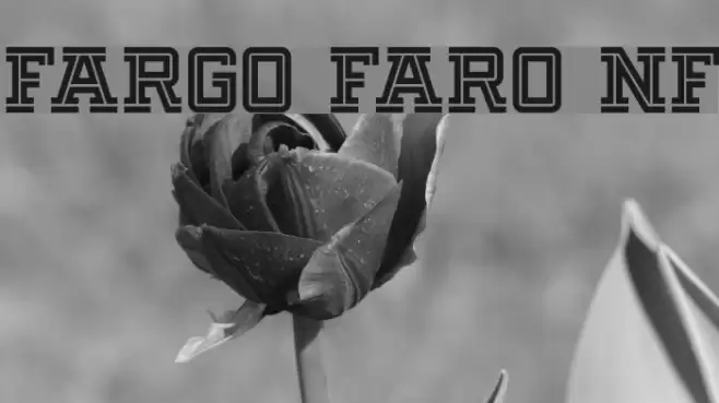 Fargo Faro NF Font examples