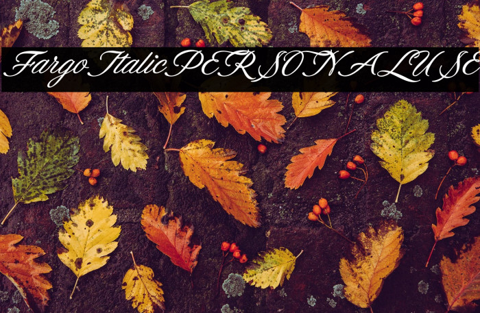 FargoItalicPERSONALUSE Example 2