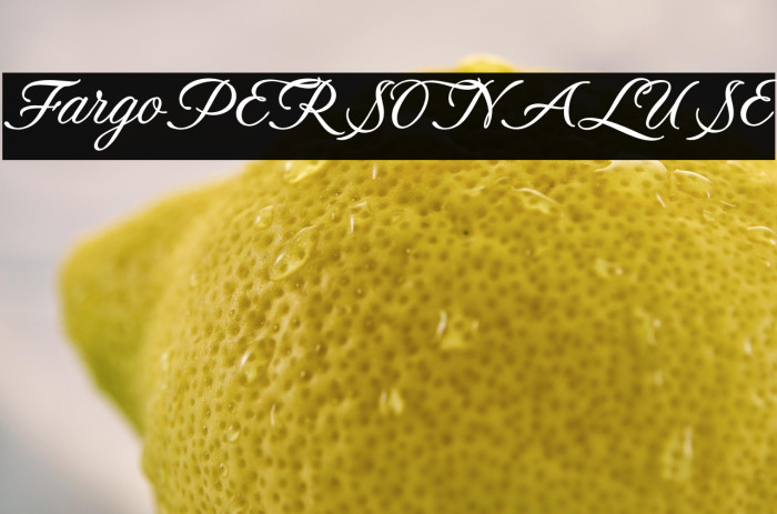 FargoPERSONALUSE Example 3