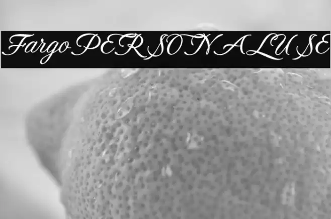 FargoPERSONALUSE Font examples