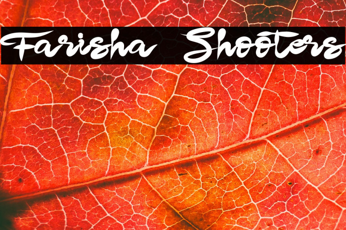 Farisha Shooters Example 1