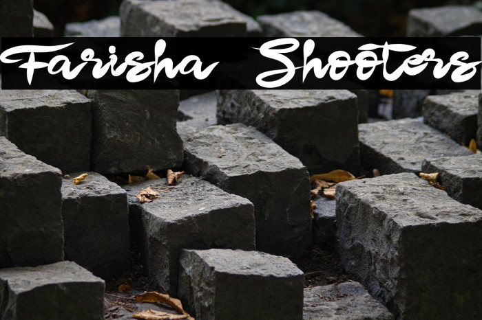 Farisha Shooters Example 2