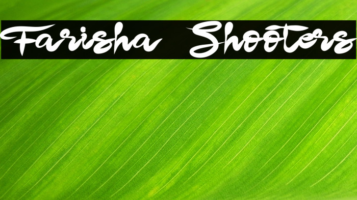 Farisha Shooters Example 3