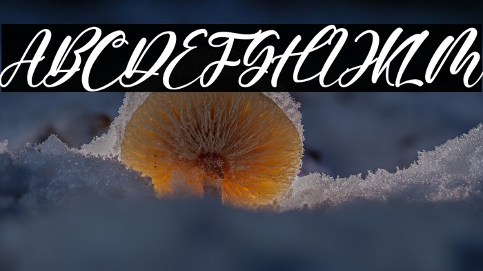 Farisky Marlline Example 2