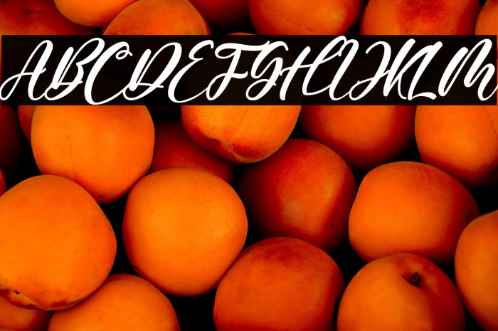 Farisky Marlline Example 3