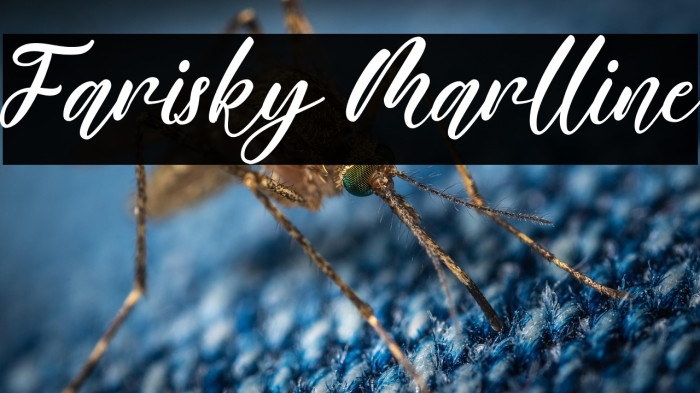 Farisky Marlline Example 1