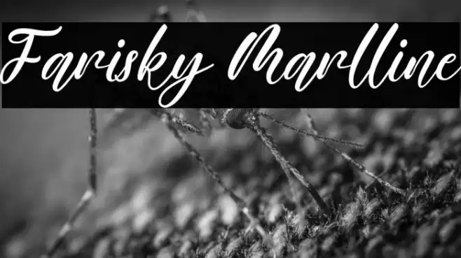 Farisky Marlline Font examples