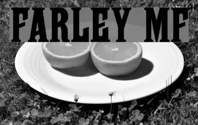 Farley MF Polices examples