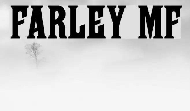 Farley MF Polices examples