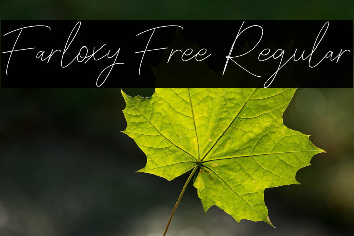 Farloxy Free Regular Example 3