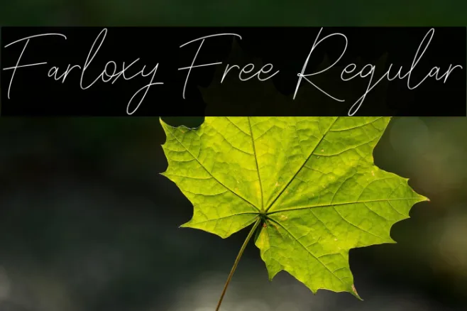 Farloxy Free Regular Example 3