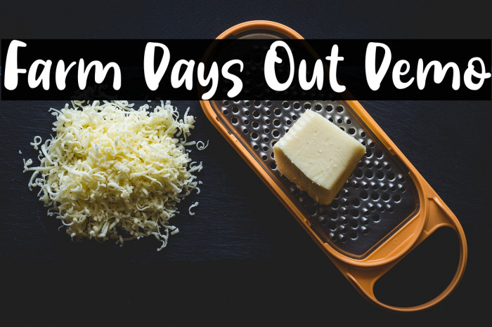 Farm Days Out Demo Example 3