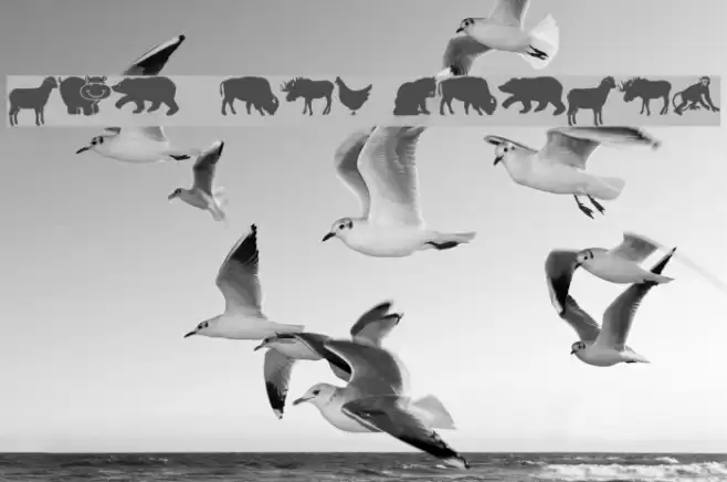 Farm & Wild Animals Font examples