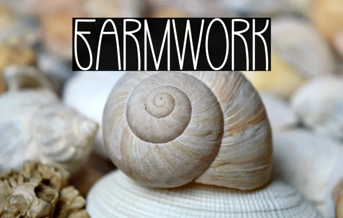 Farm Work Example 2