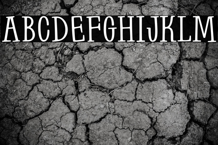 Farm to Market Bold Example 1