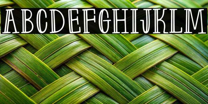 Farm to Market Fancy Example 2